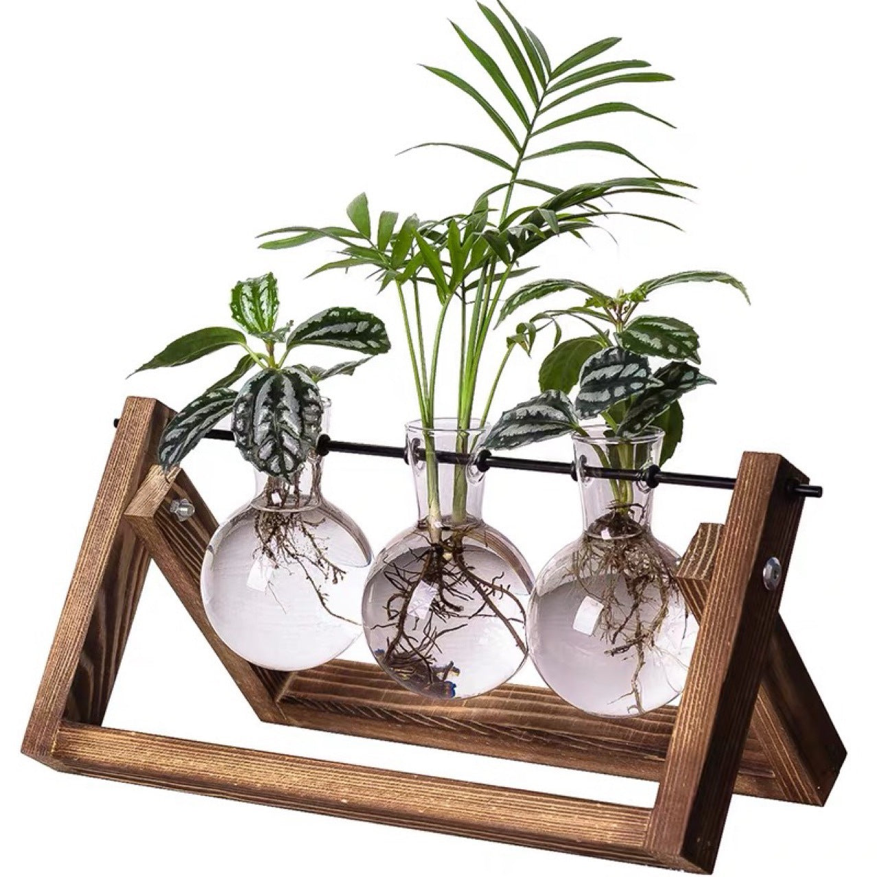 Wooden Frame Glass Vase for Hydroponic Plants