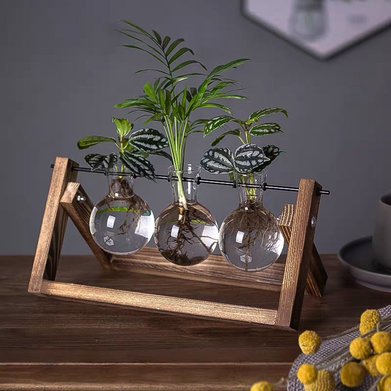 Wooden Frame Glass Vase for Hydroponic Plants